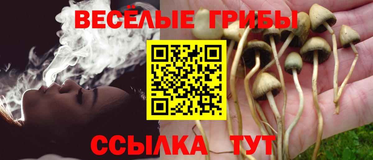 Галлюциногенные грибы MAGIC MUSHROOMS  Галлюциногенные грибы Psilocybe  Вход с VPN  Богданович 